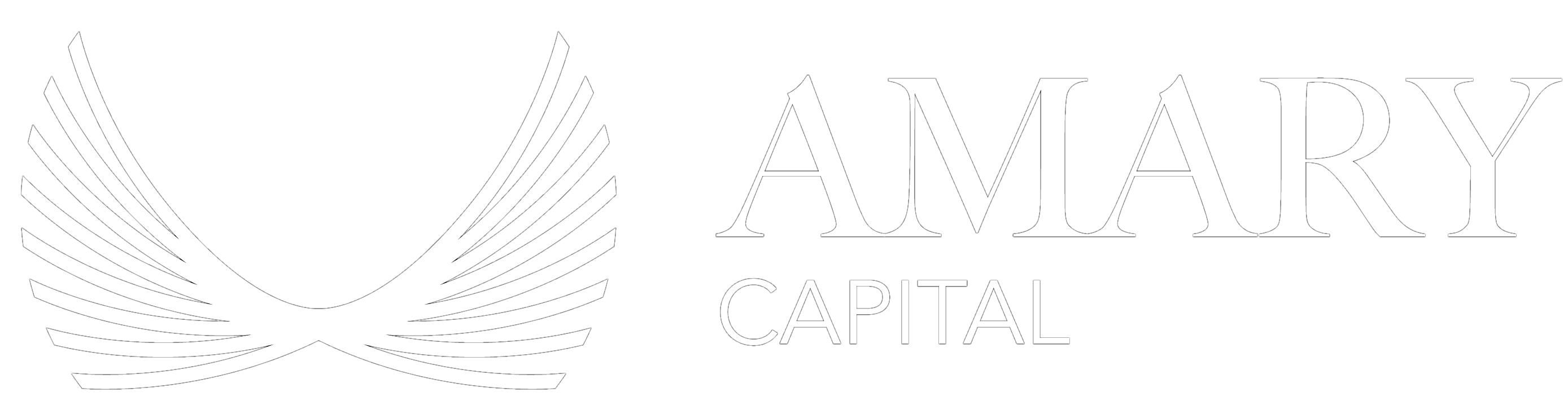 amary_logo_horizontal2_negativo